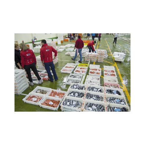 Subasta: Productos y Servicios de Peixes Vimar Subasta: Productos y Servicios de Peixes Vimar