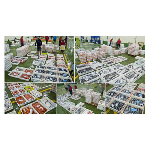 Subasta: Productos y Servicios de Peixes Vimar Subasta: Productos y Servicios de Peixes Vimar