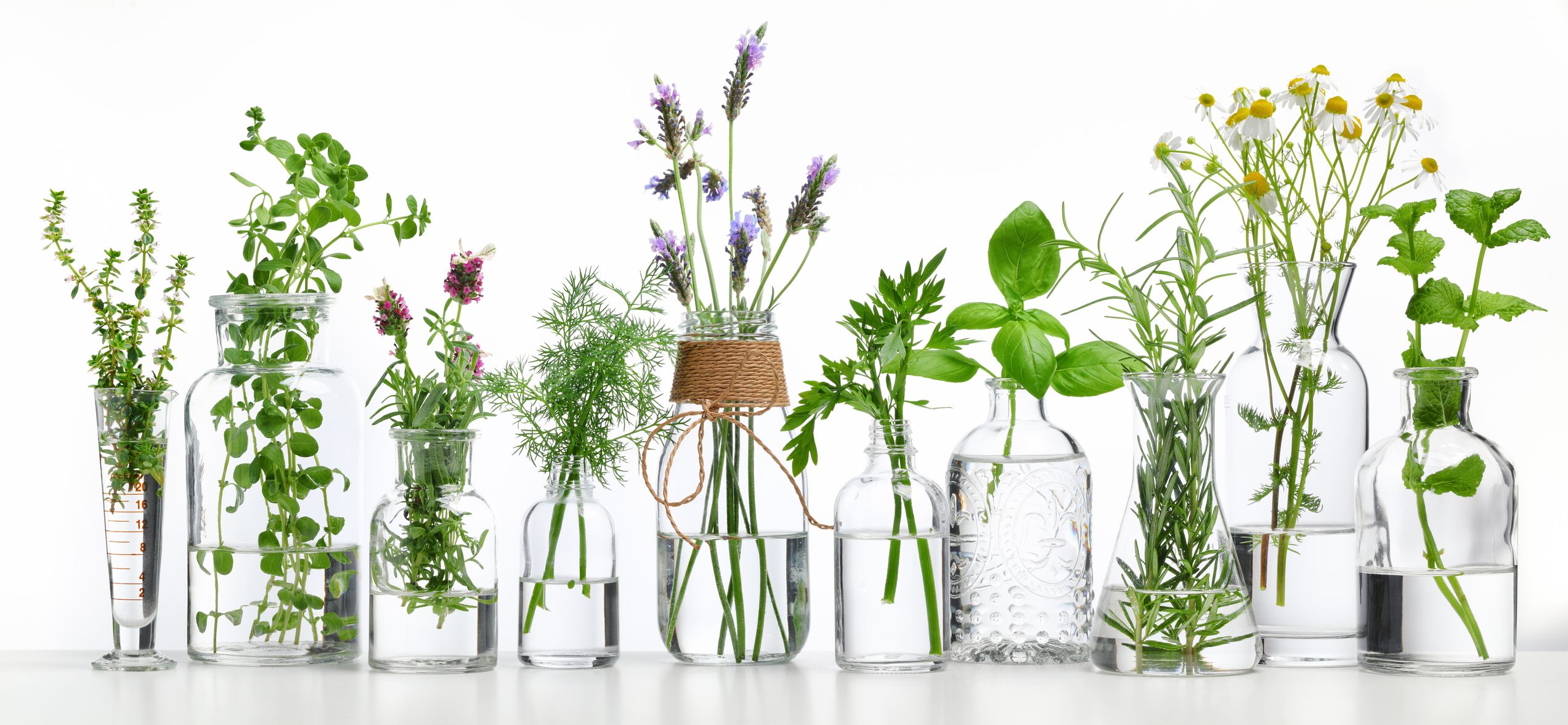 Naturópata: Salud y Belleza de Herbolario Salud y Belleza Naturópata: Salud y Belleza de Herbolario Salud y Belleza