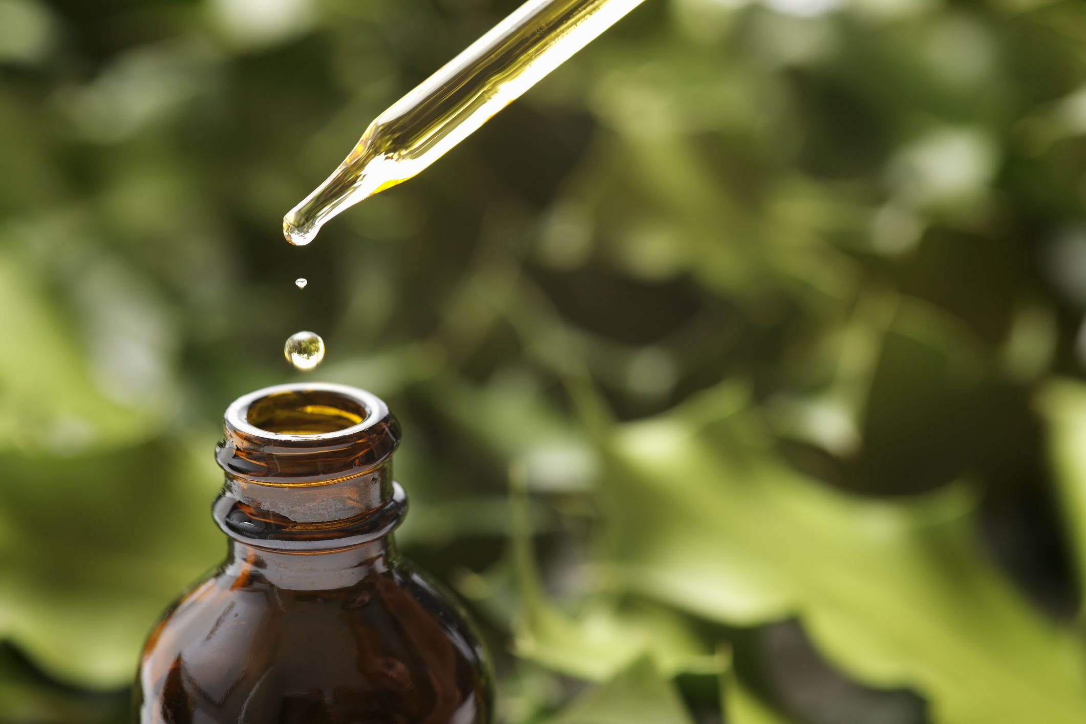Fitoterapia: Salud y Belleza de Herbolario Salud y Belleza Fitoterapia: Salud y Belleza de Herbolario Salud y Belleza