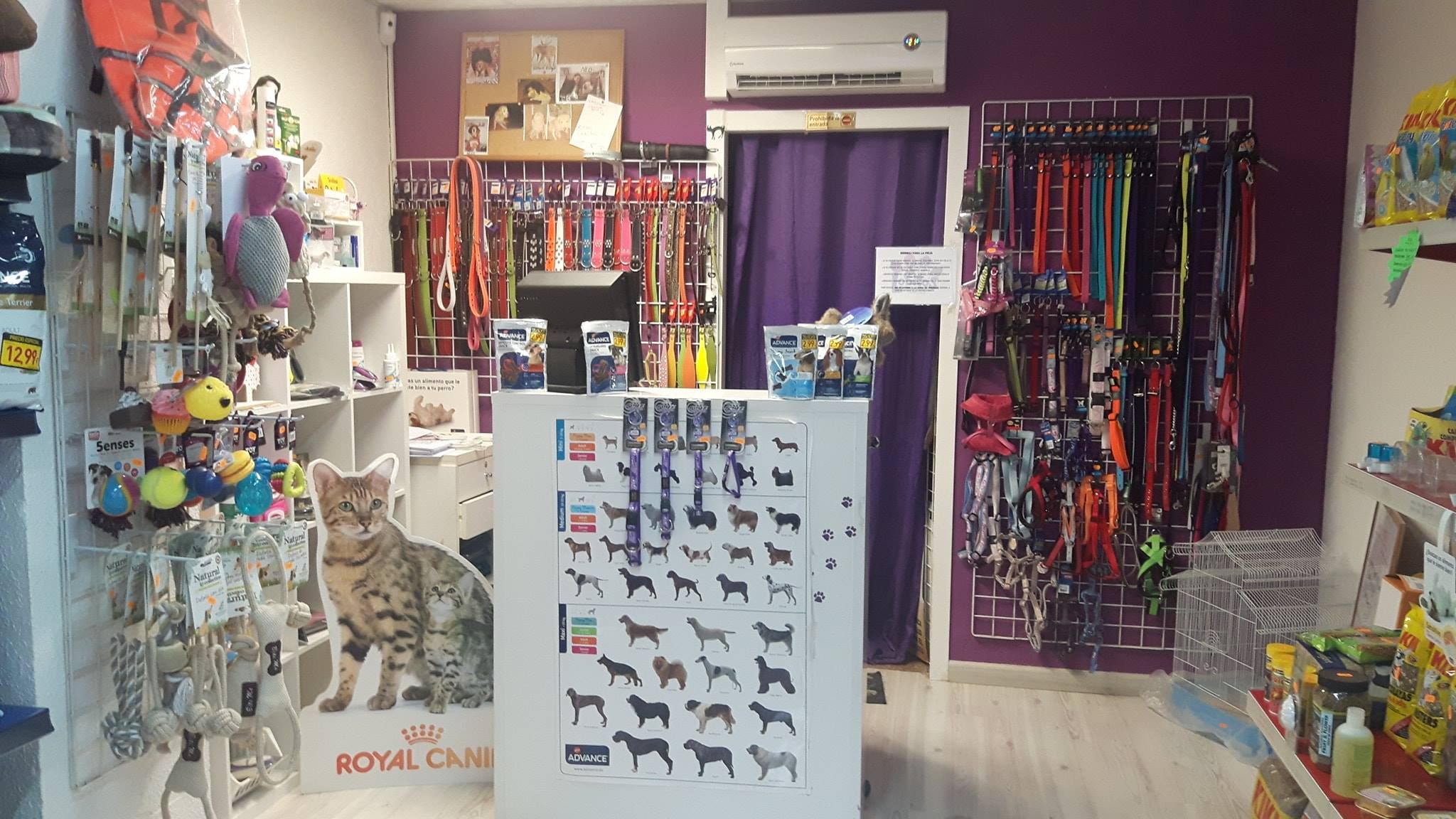 Accesorios y Productos: Servicios de Lobito's Peluquería Canina Accesorios y Productos: Servicios de Lobito's Peluquería Canina