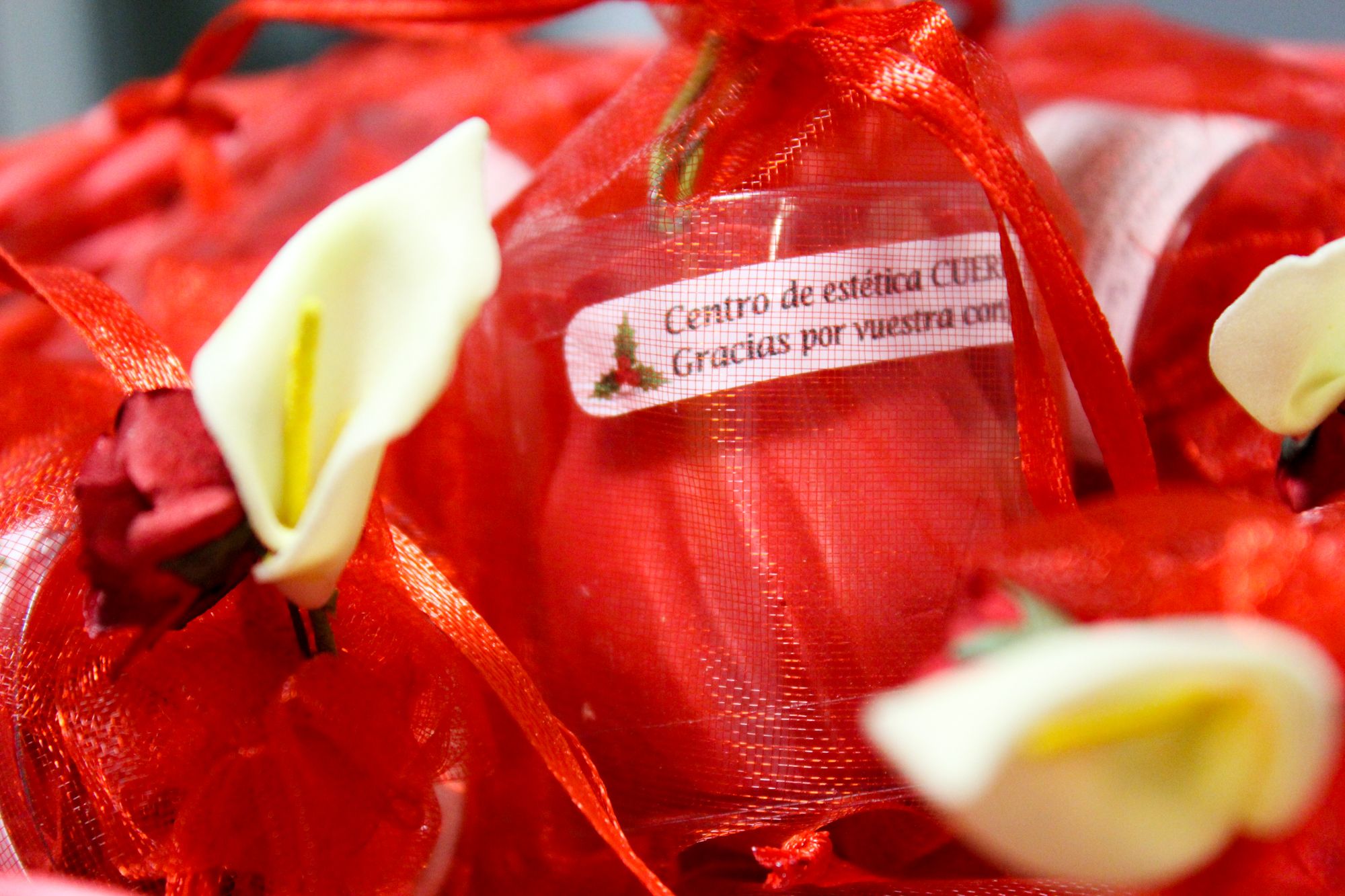 Foto 21 de Centros de estética en Torrelodones | Cuerpo 10 Marta García