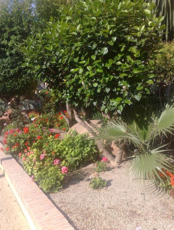 Jardinería: Servicios de West Rim Servicios Integrales, S.L. Jardinería: Servicios de West Rim Servicios Integrales, S.L.