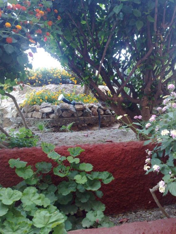 Jardinería: Servicios de West Rim Servicios Integrales, S.L. Jardinería: Servicios de West Rim Servicios Integrales, S.L.
