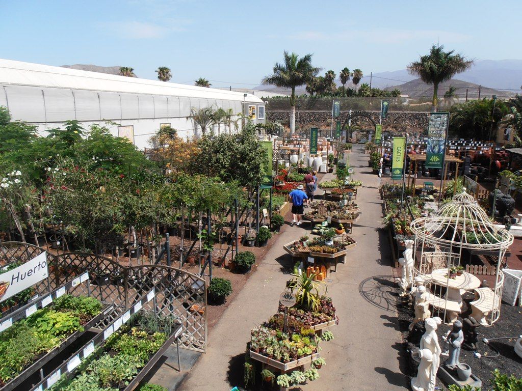 Árboles y plantas: Productos y servicios de Jardeco Árboles y plantas: Productos y servicios de Jardeco