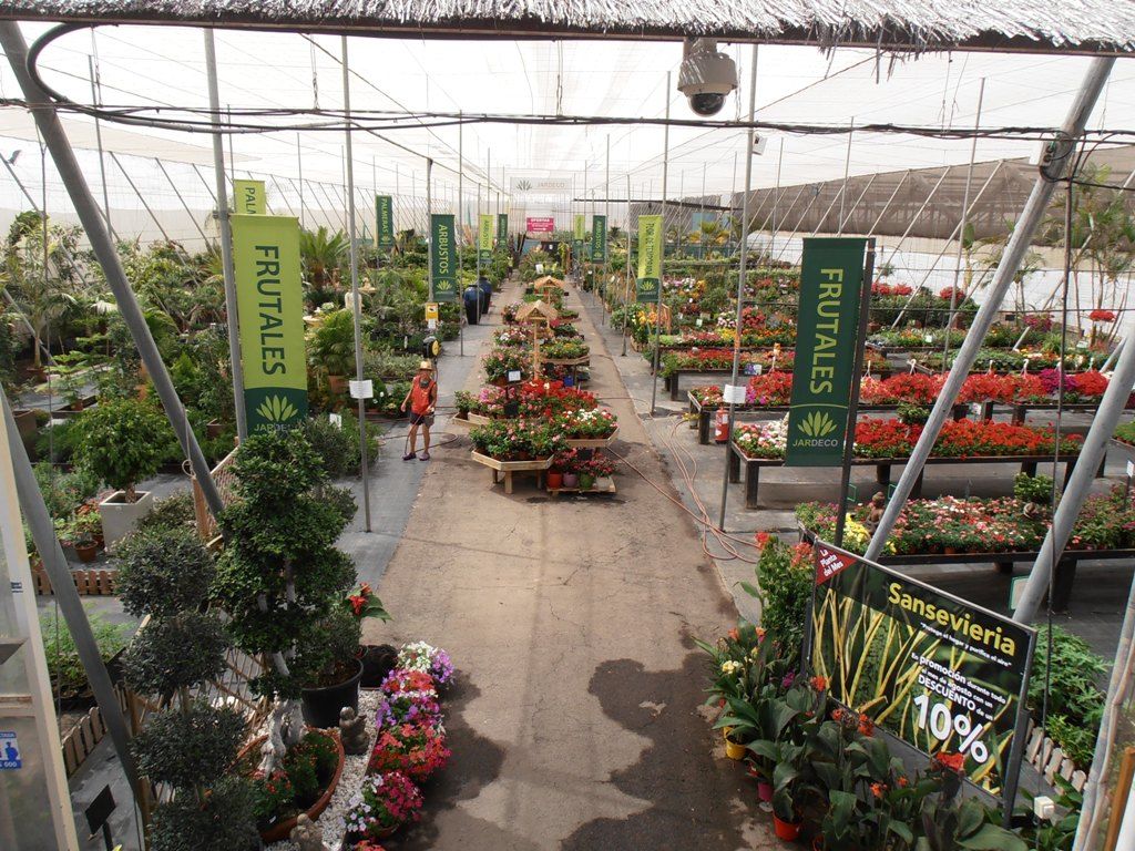 Árboles y plantas: Productos y servicios de Jardeco Árboles y plantas: Productos y servicios de Jardeco