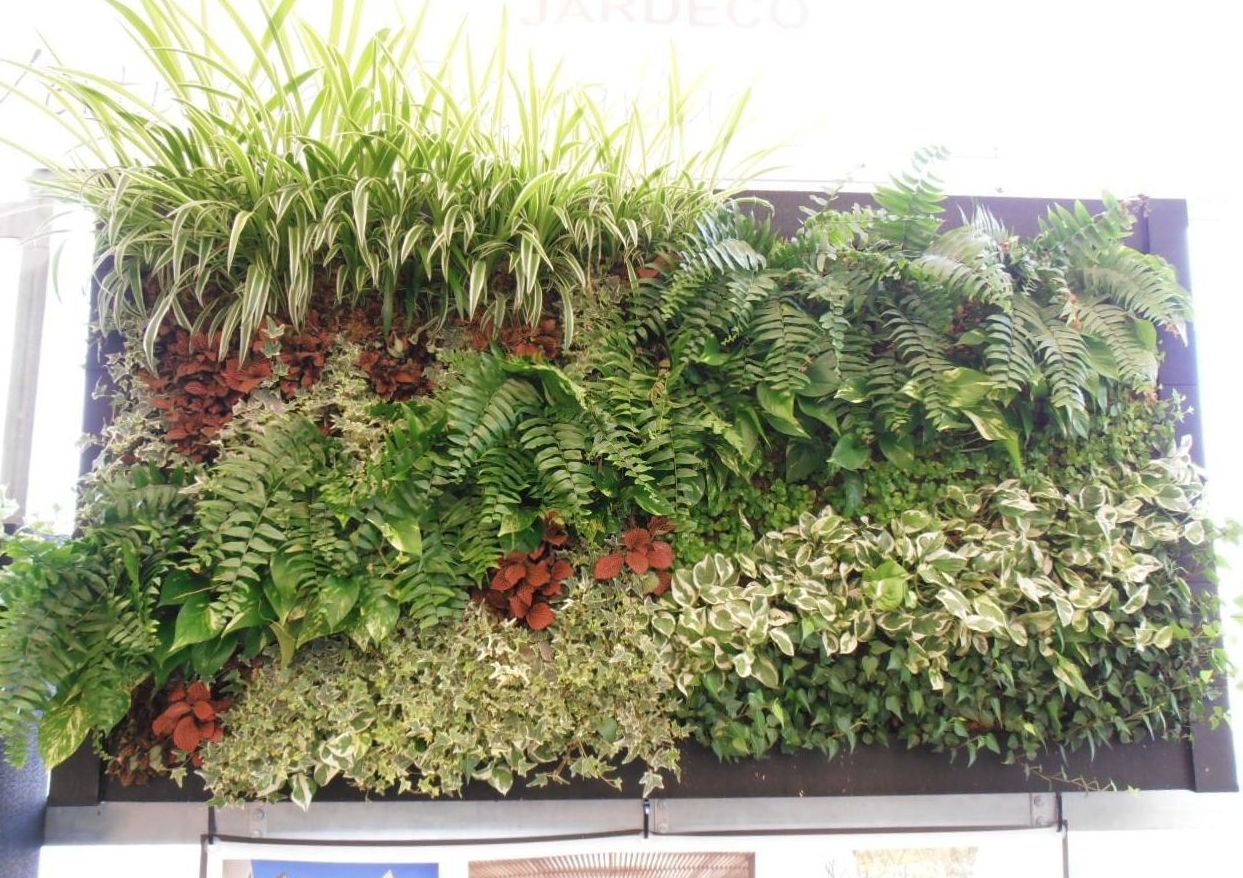 Diseño y paisajismo: Productos y servicios de Jardeco Diseño y paisajismo: Productos y servicios de Jardeco
