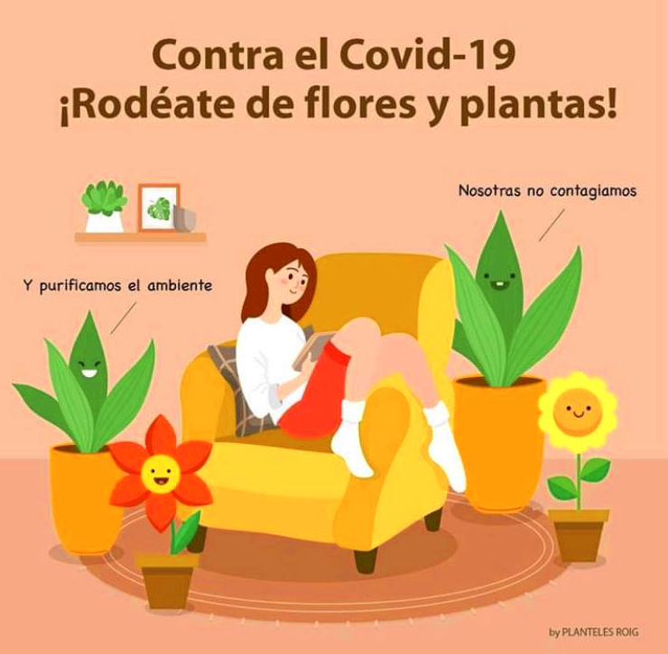 Decoración de Primavera y Verano: Productos y servicios de Jardeco Decoración de Primavera y Verano: Productos y servicios de Jardeco