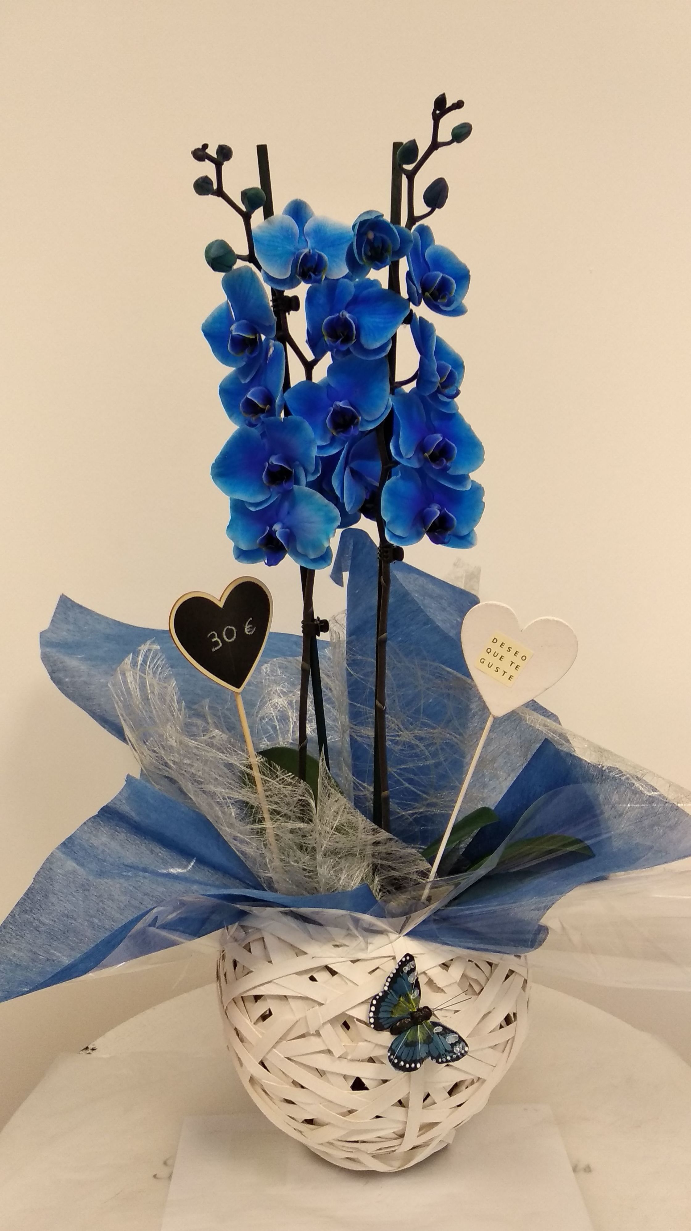 Nuestra floristería: Productos y servicios de Jardeco Nuestra floristería: Productos y servicios de Jardeco