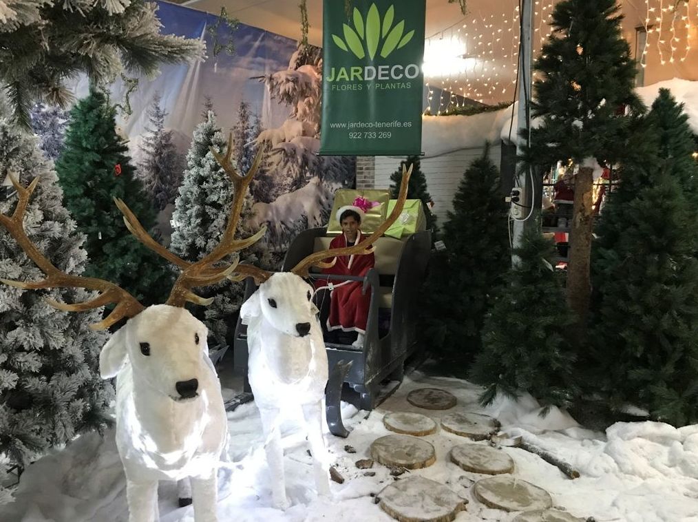 Navidad 2019: Productos y servicios de Jardeco Navidad 2019: Productos y servicios de Jardeco