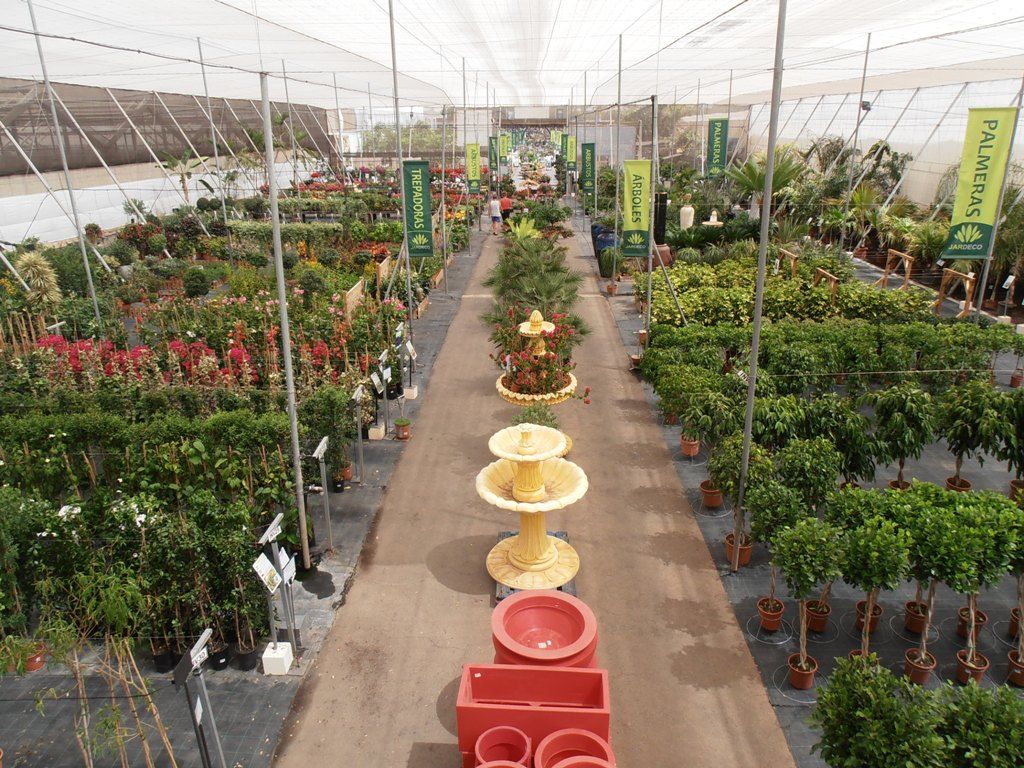 Árboles y plantas: Productos y servicios de Jardeco Árboles y plantas: Productos y servicios de Jardeco