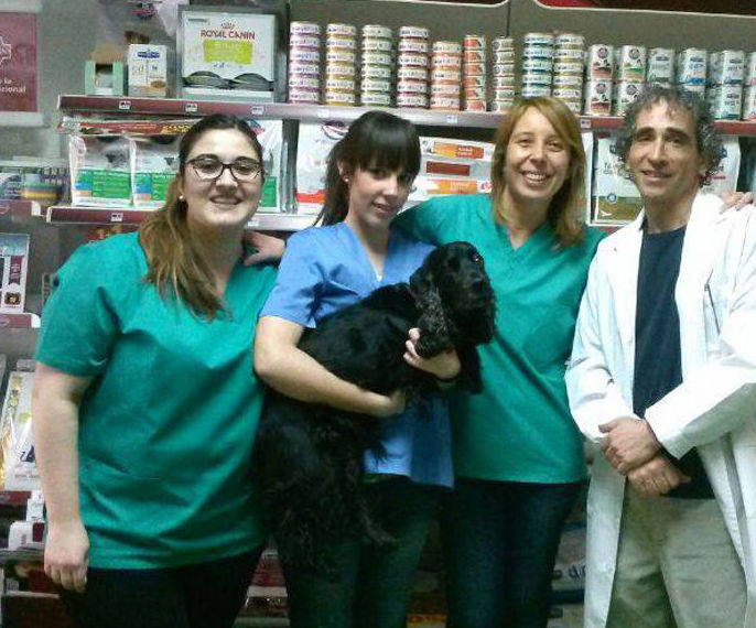 Asesoramiento nutricional: Servicios de Clínica Veterinaria Ricardo Díez Reyero Asesoramiento nutricional: Servicios de Clínica Veterinaria Ricardo Díez Reyero
