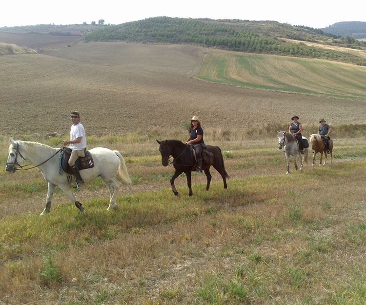 Terapia con caballos en Aranguren, Navarra