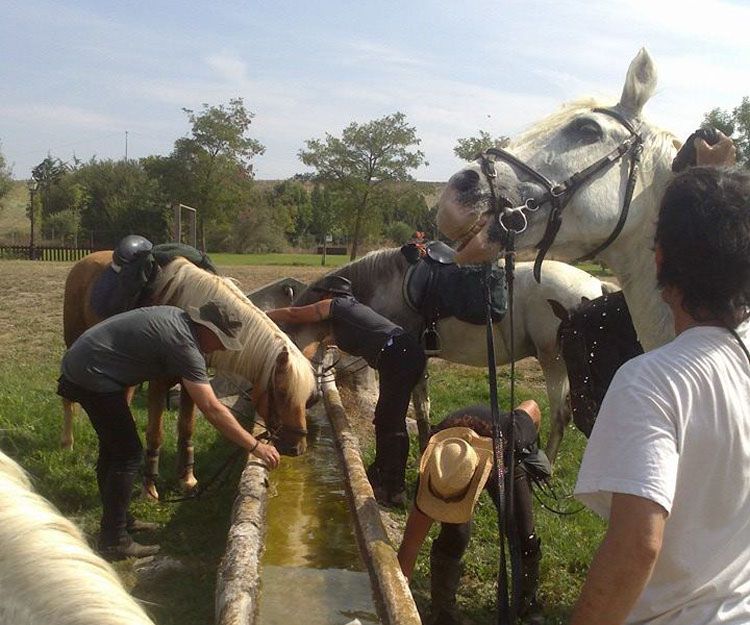 Equitación y equinoterapia en Aranguren, Navarra