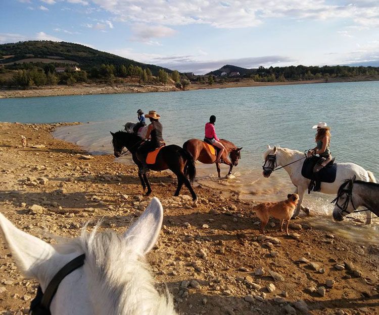 Centro de equitación en Aranguren, Navarra