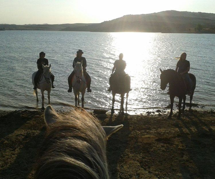 Actividades con caballos en Aranguren, Navarra