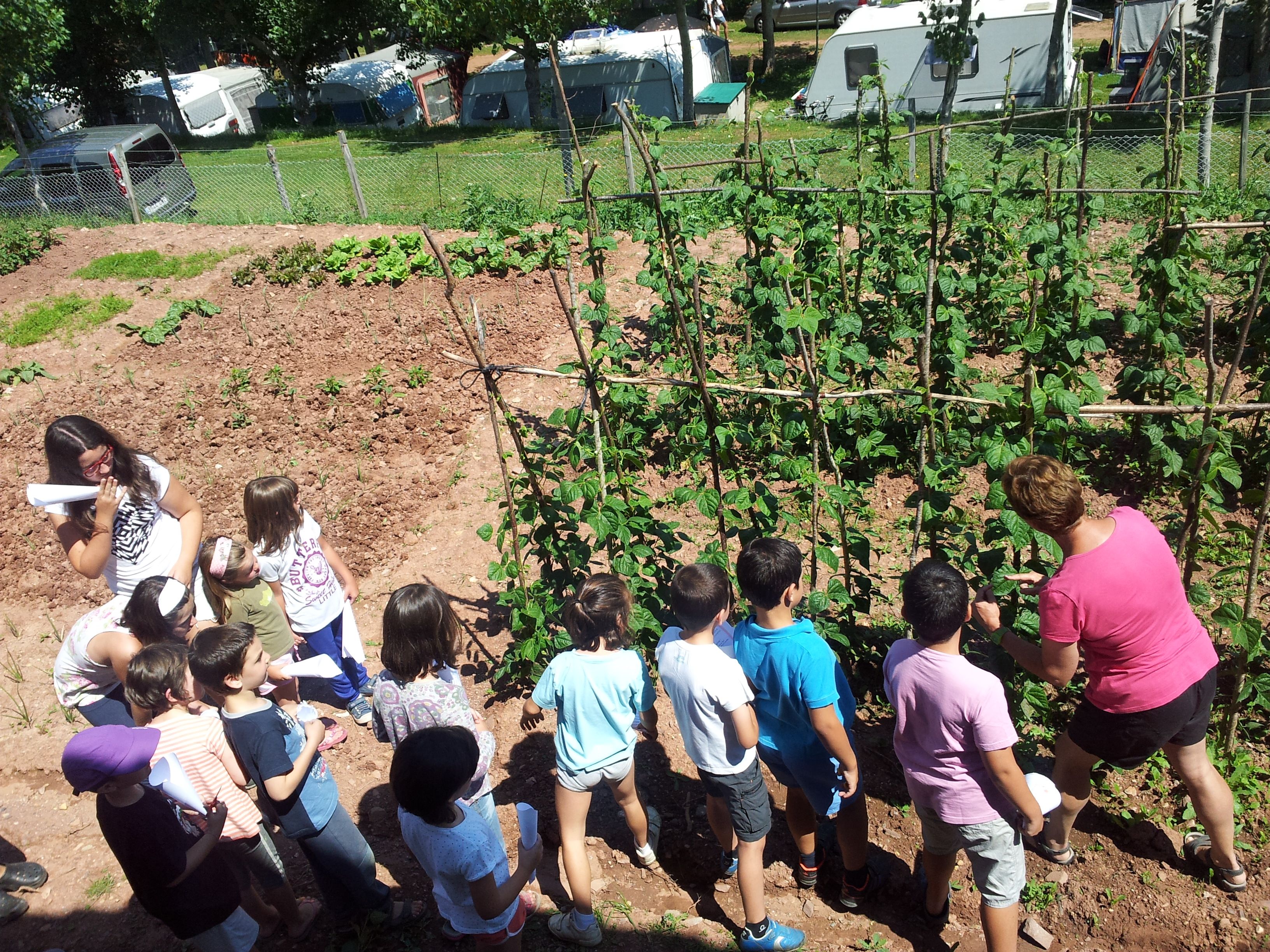 Animación infantil: Nuestros alojamientos de Camping Laspaúles Animación infantil: Nuestros alojamientos de Camping Laspaúles
