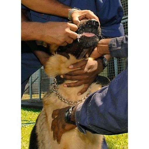Vacunas: Catálogo de Clínica Veterinaria Pereña Vacunas: Catálogo de Clínica Veterinaria Pereña