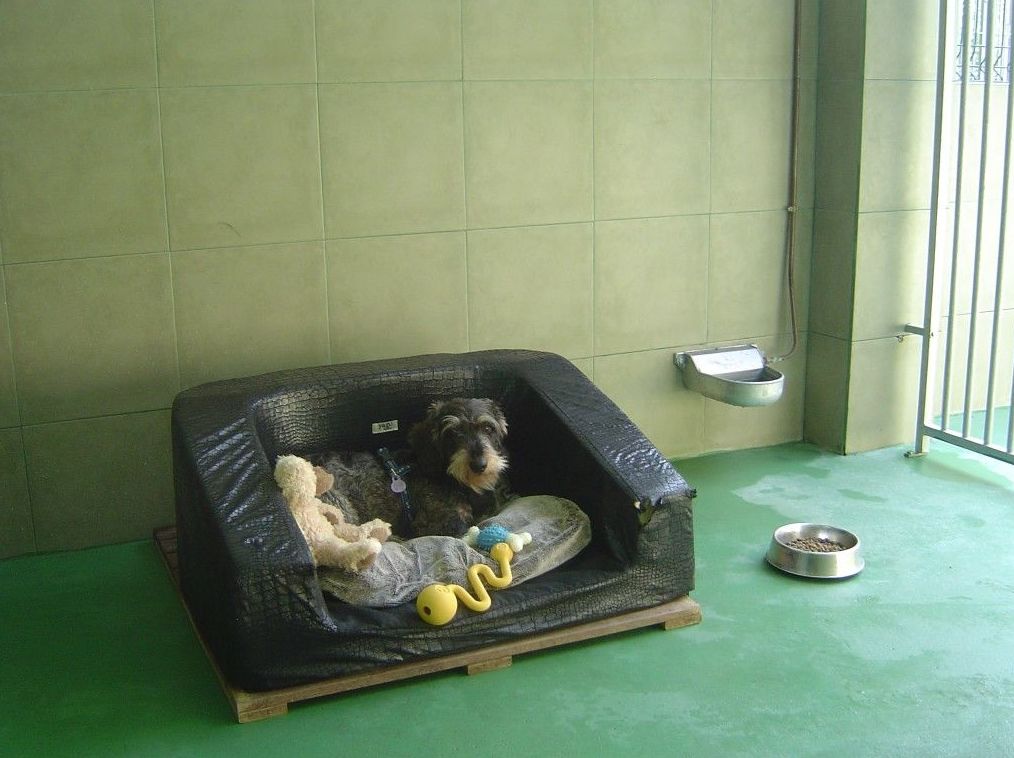 Tarifas : Servicios de Errekagane Residencia Canina Tarifas : Servicios de Errekagane Residencia Canina