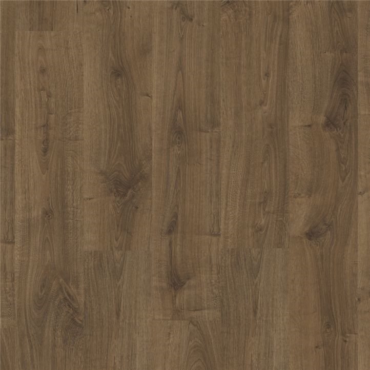 Roble marrón Virginia CR3183.jpg Roble marrón Virginia CR3183.jpg