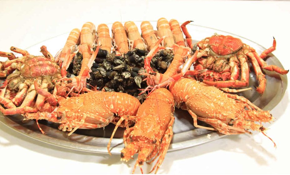 Marisco de nuestras lonjas: Carta de Restaurante Avenida Marisco de nuestras lonjas: Carta de Restaurante Avenida
