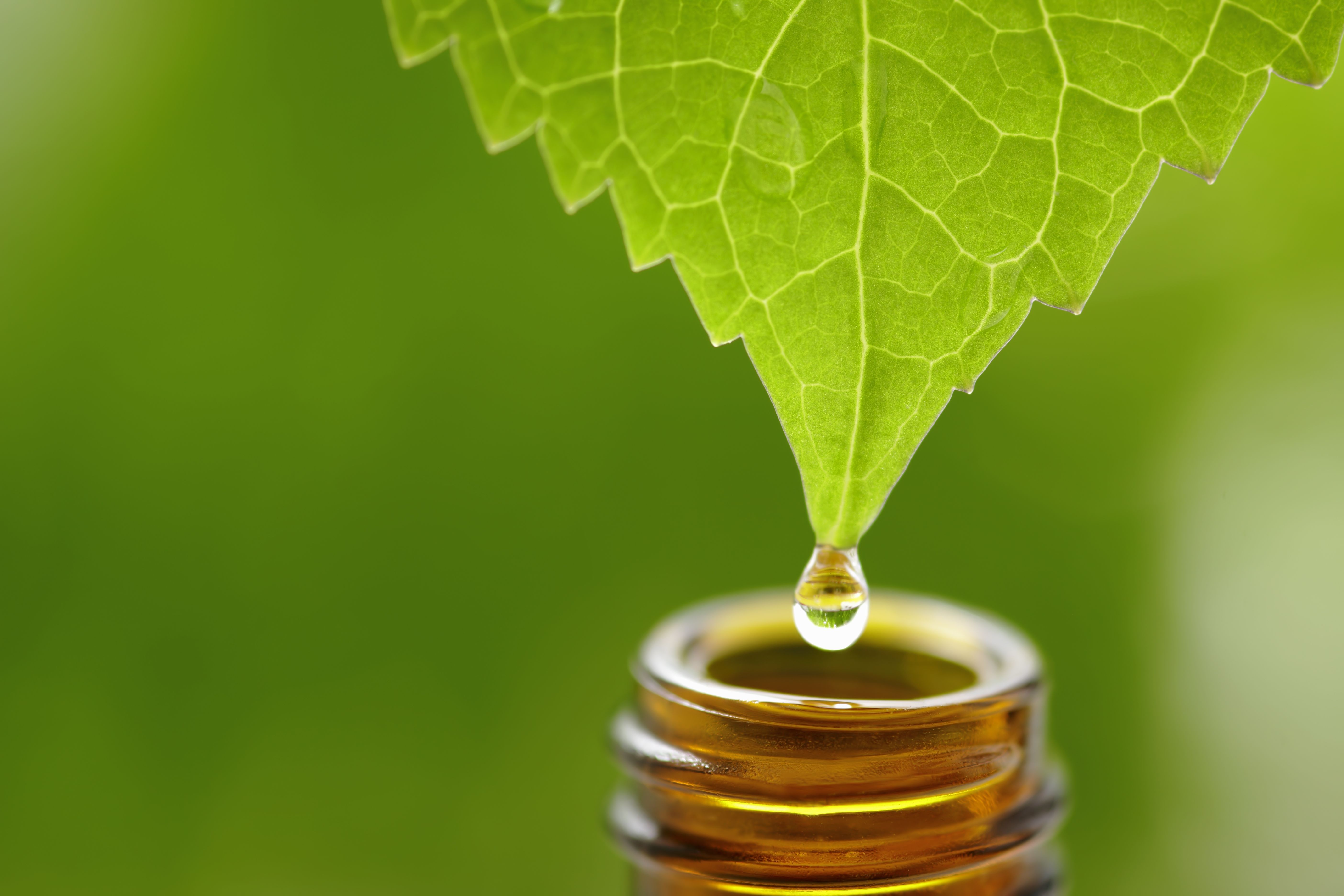 Homeopatia: Servicios de Farmacia Fernández Novoa Homeopatia: Servicios de Farmacia Fernández Novoa