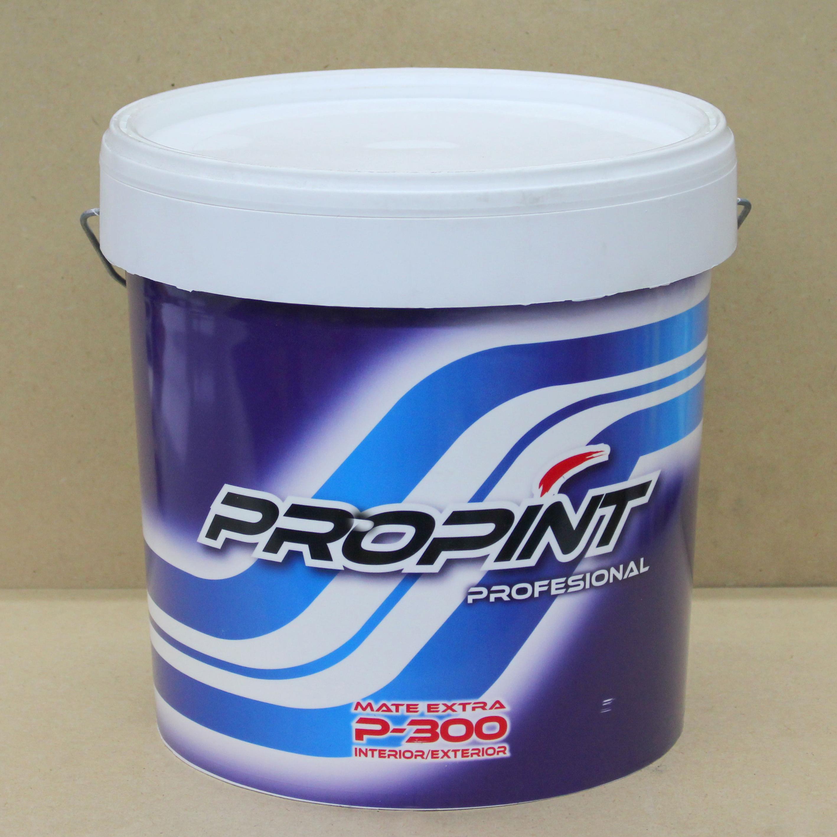 Pintura plástica Propint P300 en Barcelona Pintura plástica Propint P300 en Barcelona