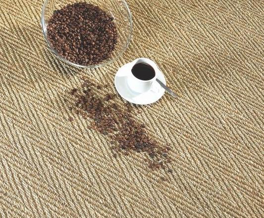 Fibra Vegetal Algas Marinas Seagrass en Barcelona Fibra Vegetal Algas Marinas Seagrass en Barcelona