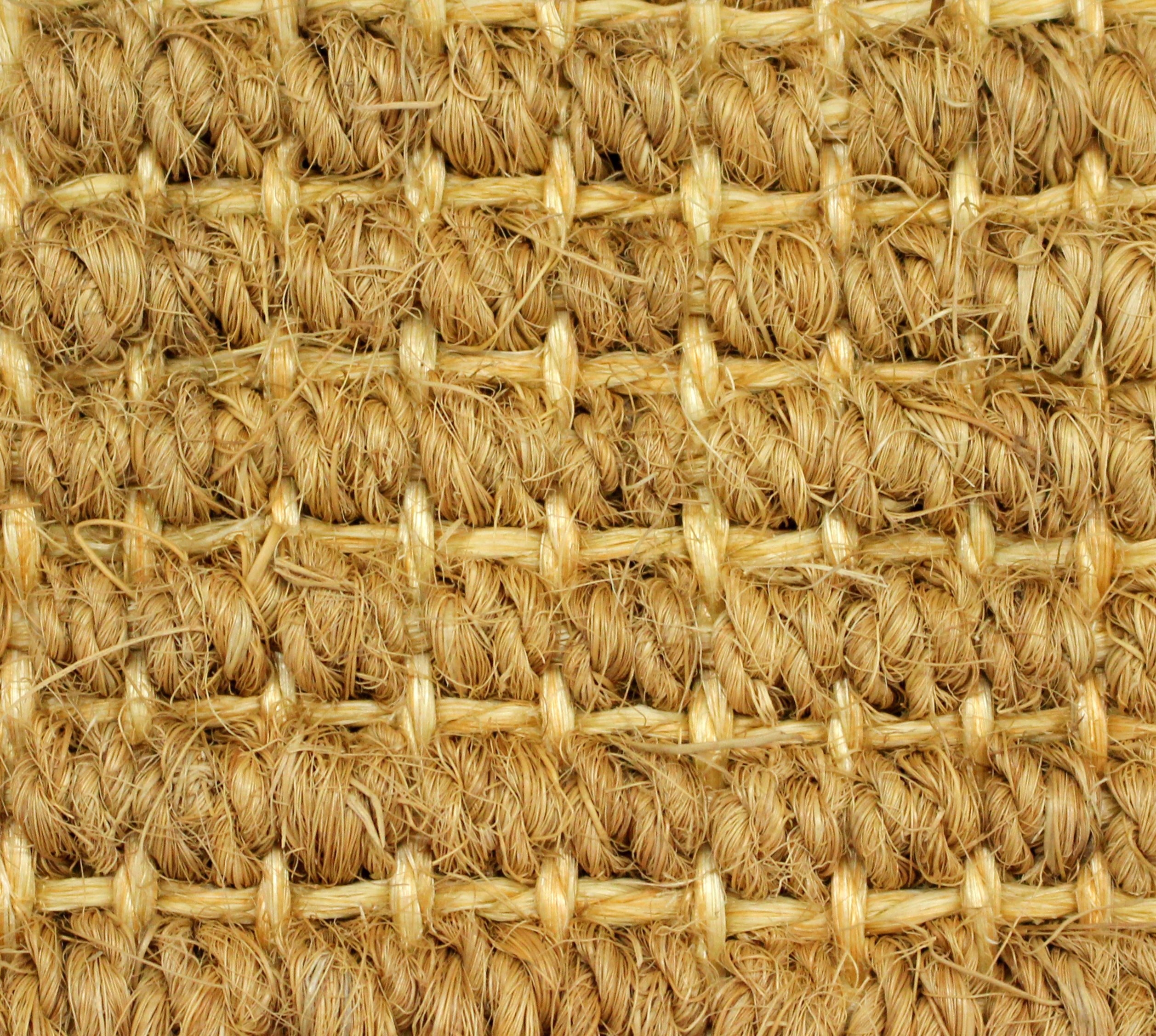 COCO DELHI: Nuestros productos de Moquetes Terrassa COCO DELHI: Nuestros productos de Moquetes Terrassa