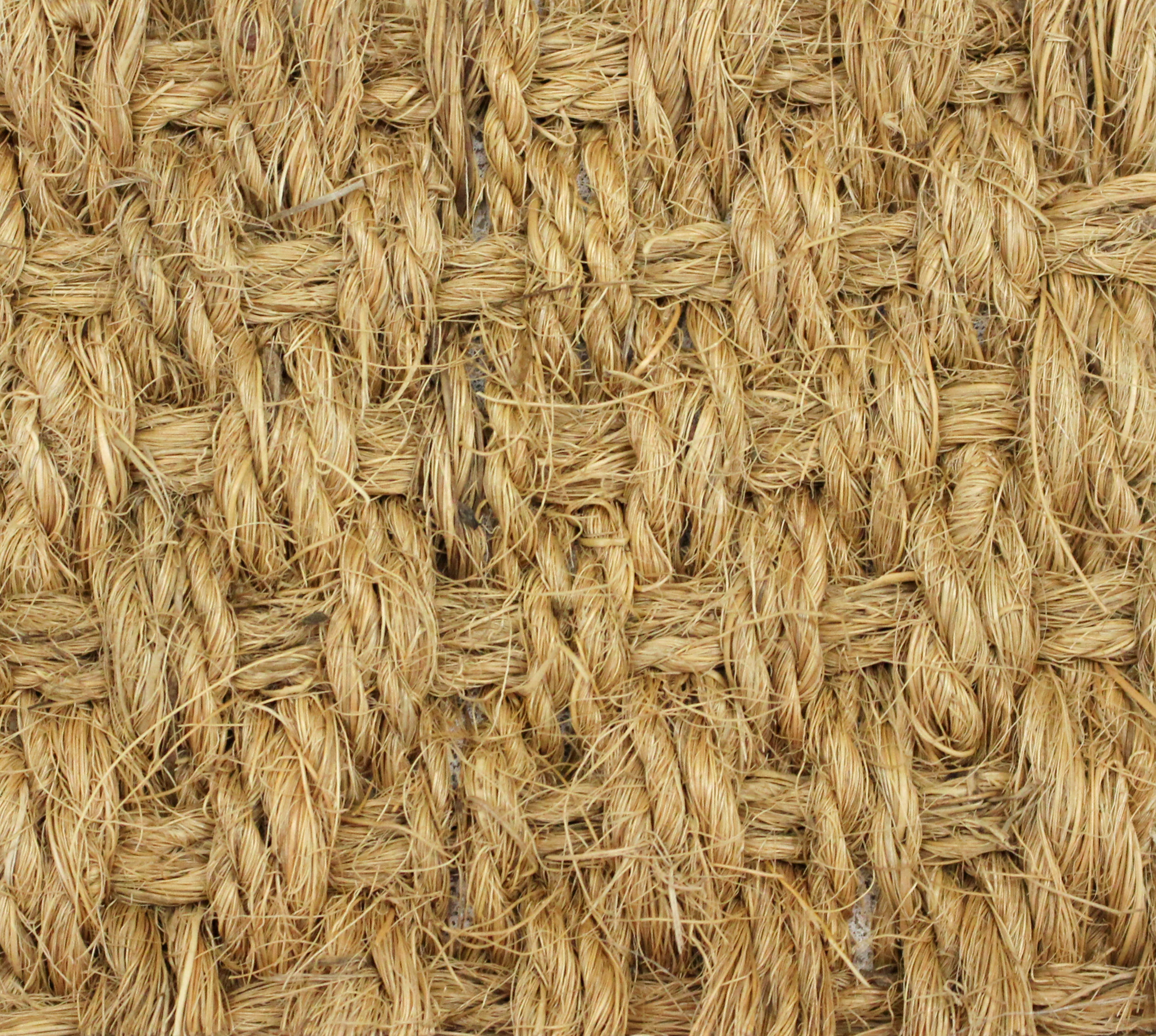 COCO PANAMÁ: Nuestros productos de Moquetes Terrassa COCO PANAMÁ: Nuestros productos de Moquetes Terrassa