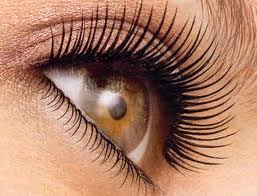 Cejas y pestañas Gijón Cejas y pestañas Gijón