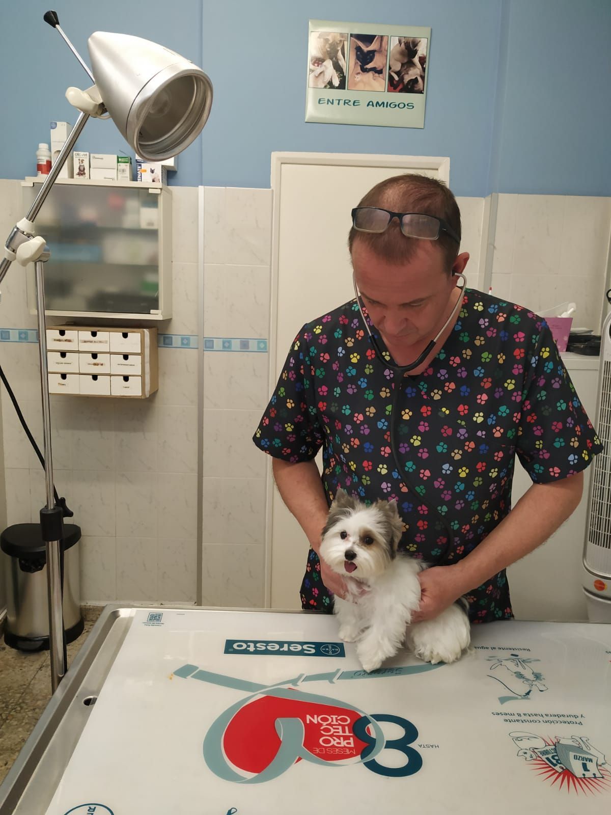 Medicina veterinaria preventiva: Servicios de Clínica Veterinaria Dog And Cat Medicina veterinaria preventiva: Servicios de Clínica Veterinaria Dog And Cat