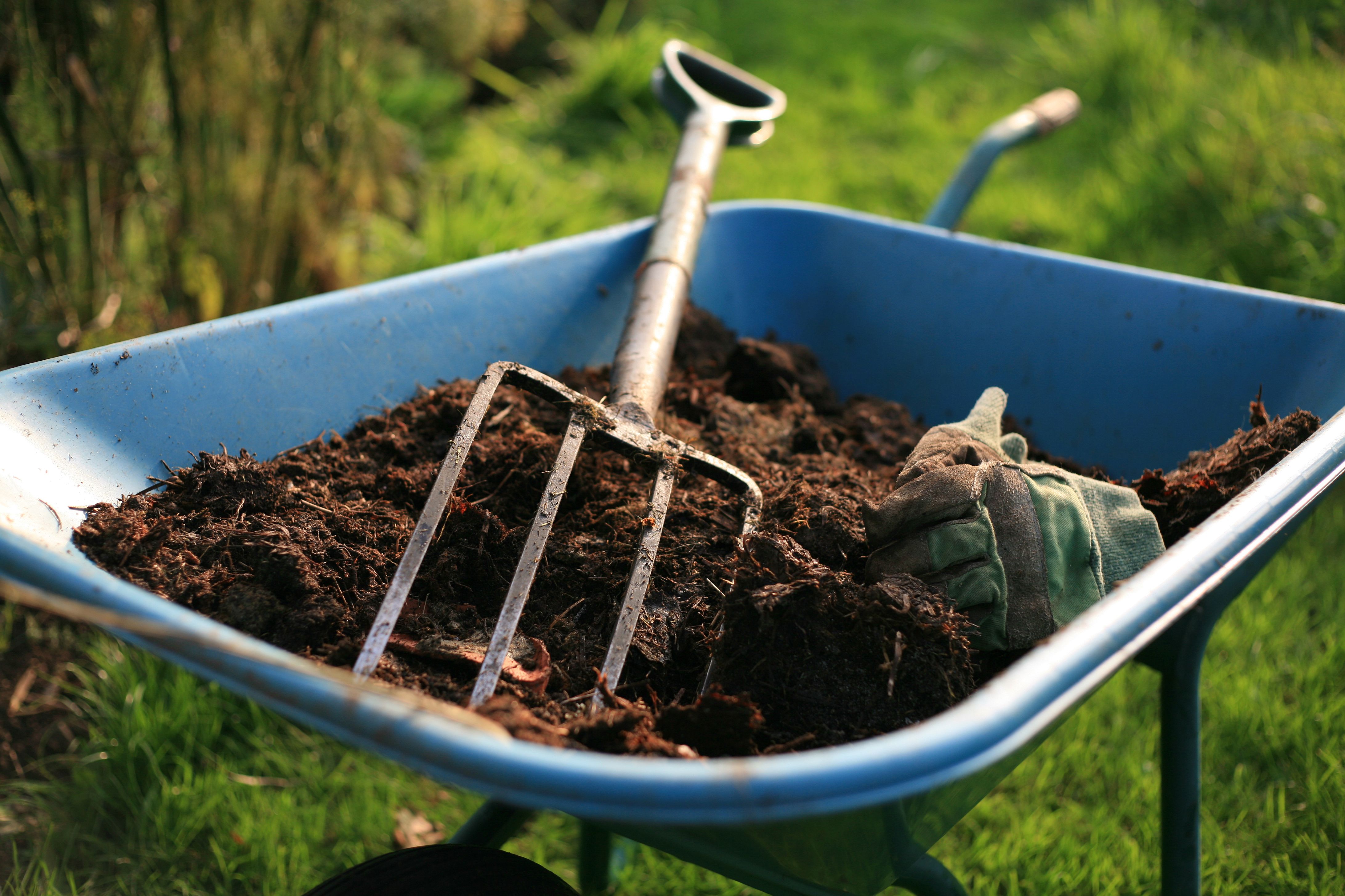 Jardinería: Servicios de Heymelot Jardinería: Servicios de Heymelot