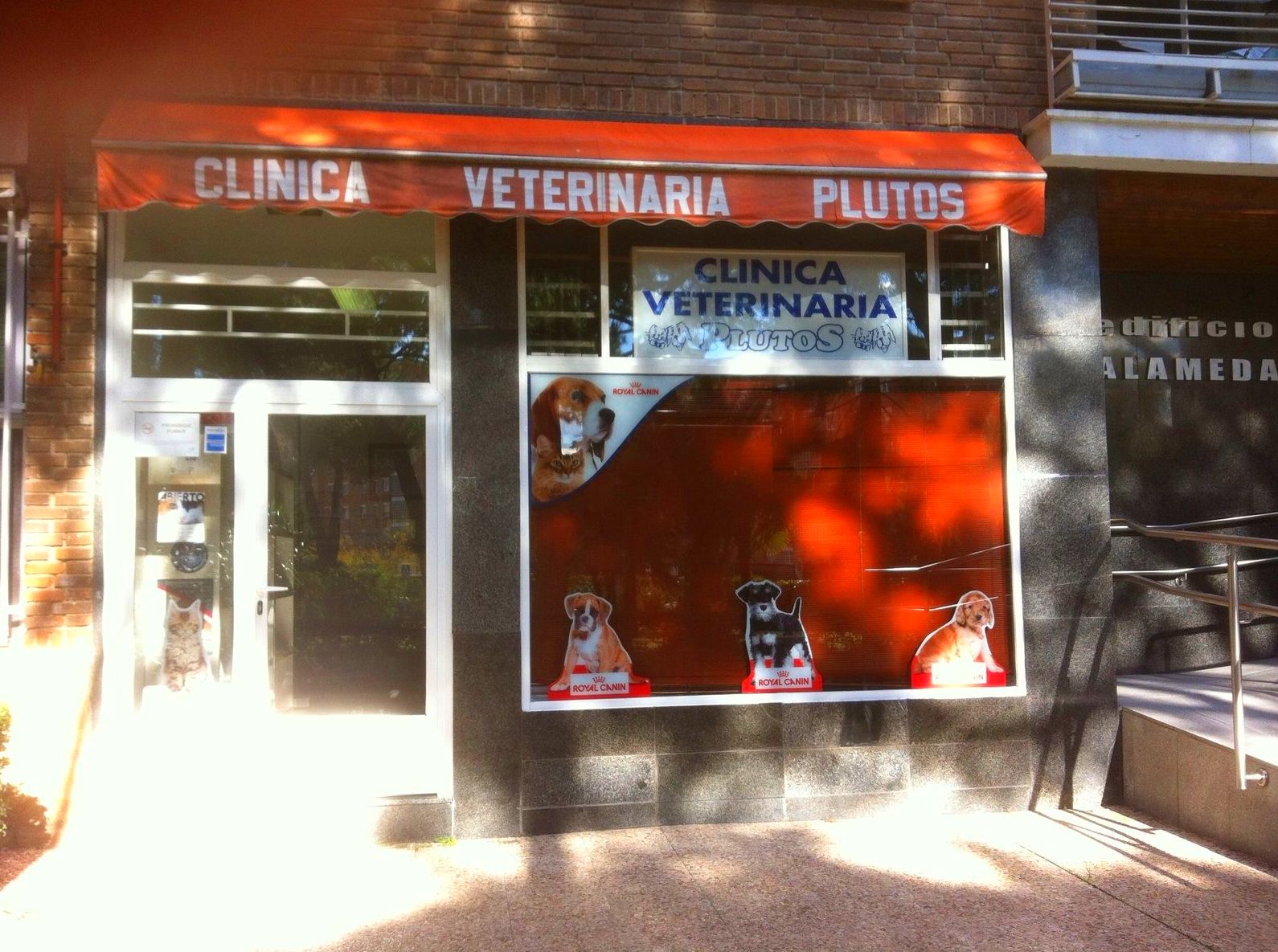 Clinica Veterinaria Plutos