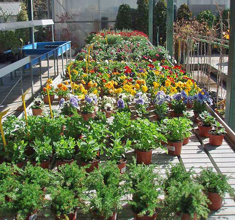 Catálogo de jardinería Catálogo de jardinería