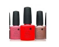 Shellac: Qué hacemos de La Pelu Shellac: Qué hacemos de La Pelu