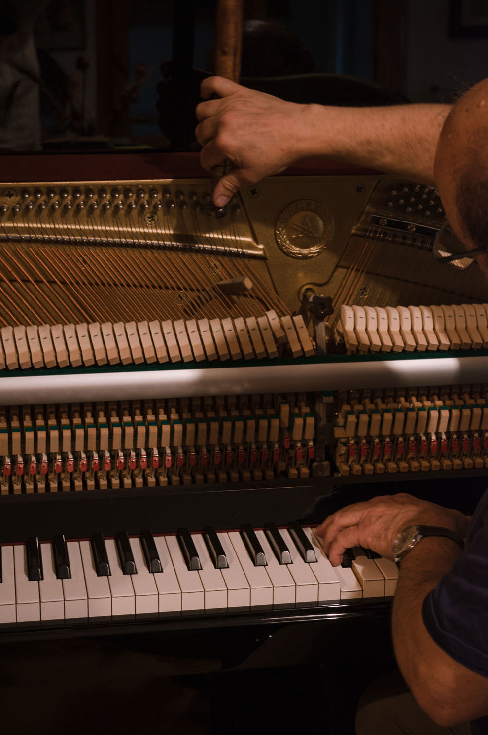 Foto 3 de Instrumentos de música en Terrassa | Afinador de Pianos E. Ferrer