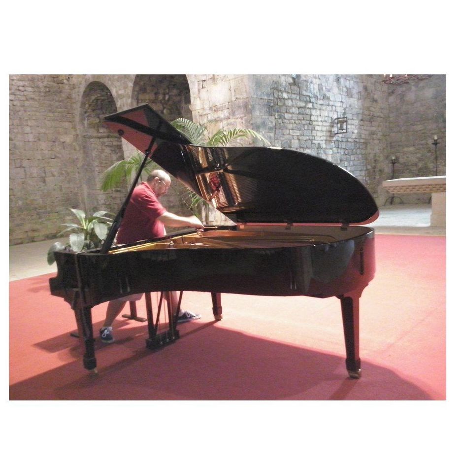 Servicios que ofrecemos: Servicios de Afinador de Pianos E. Ferrer Servicios que ofrecemos: Servicios de Afinador de Pianos E. Ferrer