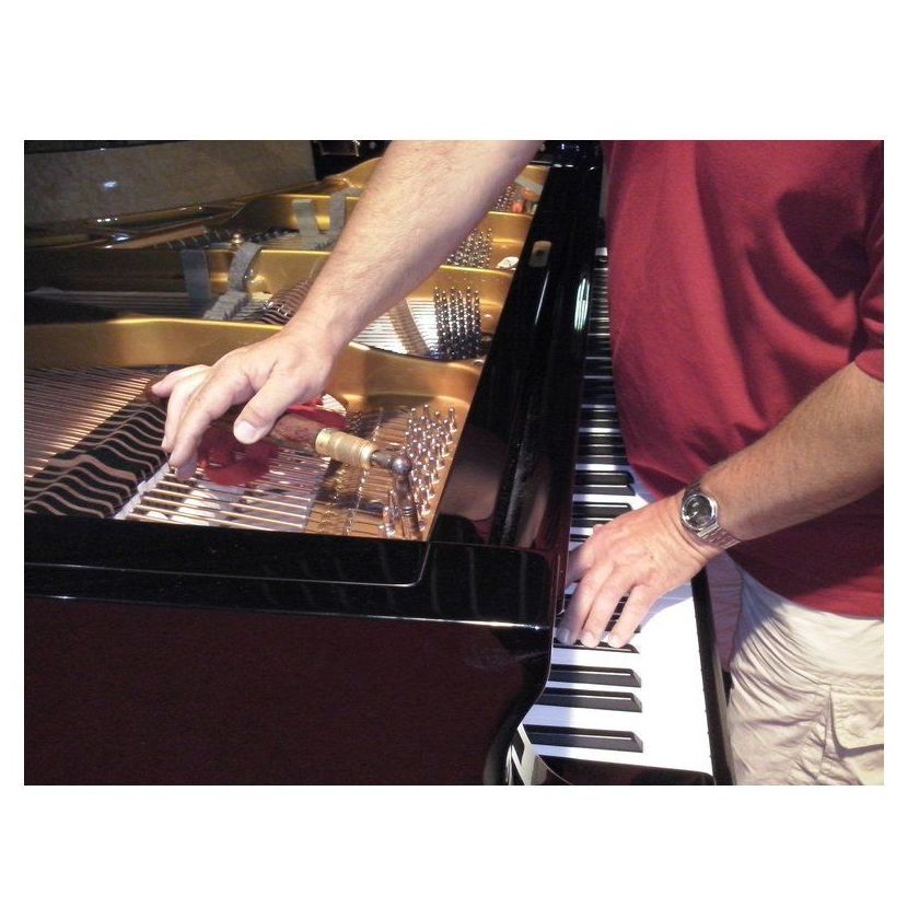 Afinación: Servicios de Afinador de Pianos E. Ferrer Afinación: Servicios de Afinador de Pianos E. Ferrer
