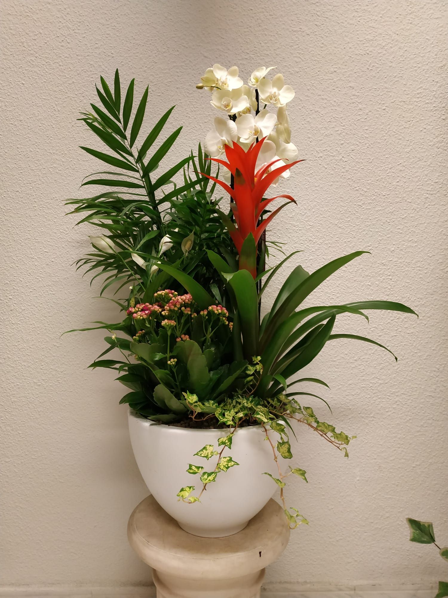 Arreglos de plantas: Productos y servicios de Floristas San Isidro José Arreglos de plantas: Productos y servicios de Floristas San Isidro José