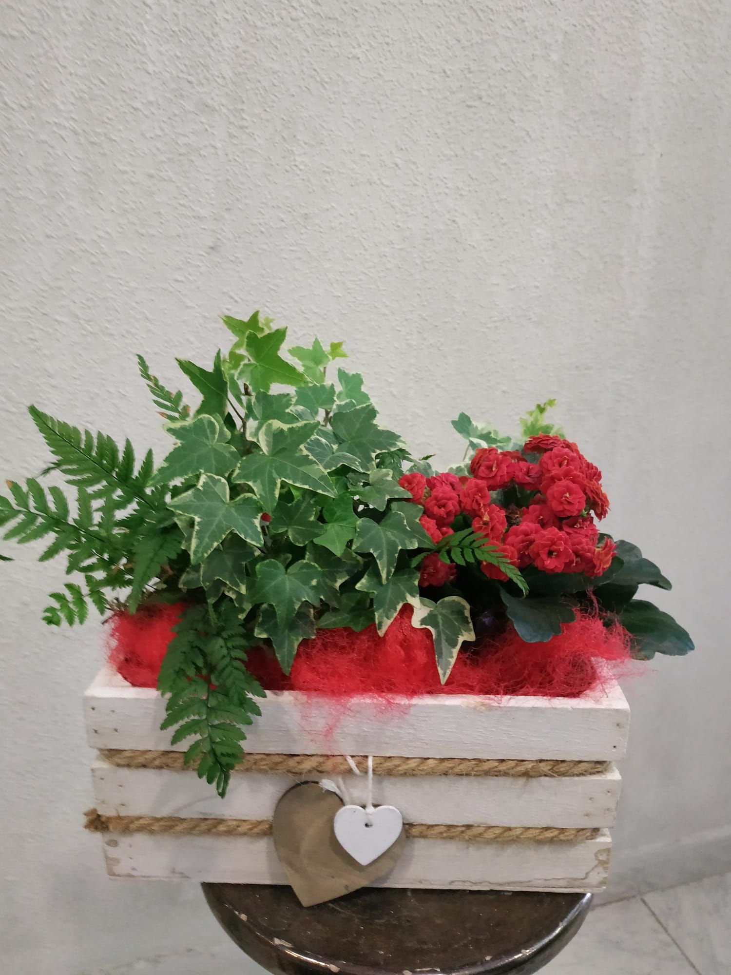 Arreglos de plantas: Productos y servicios de Floristas San Isidro José Arreglos de plantas: Productos y servicios de Floristas San Isidro José