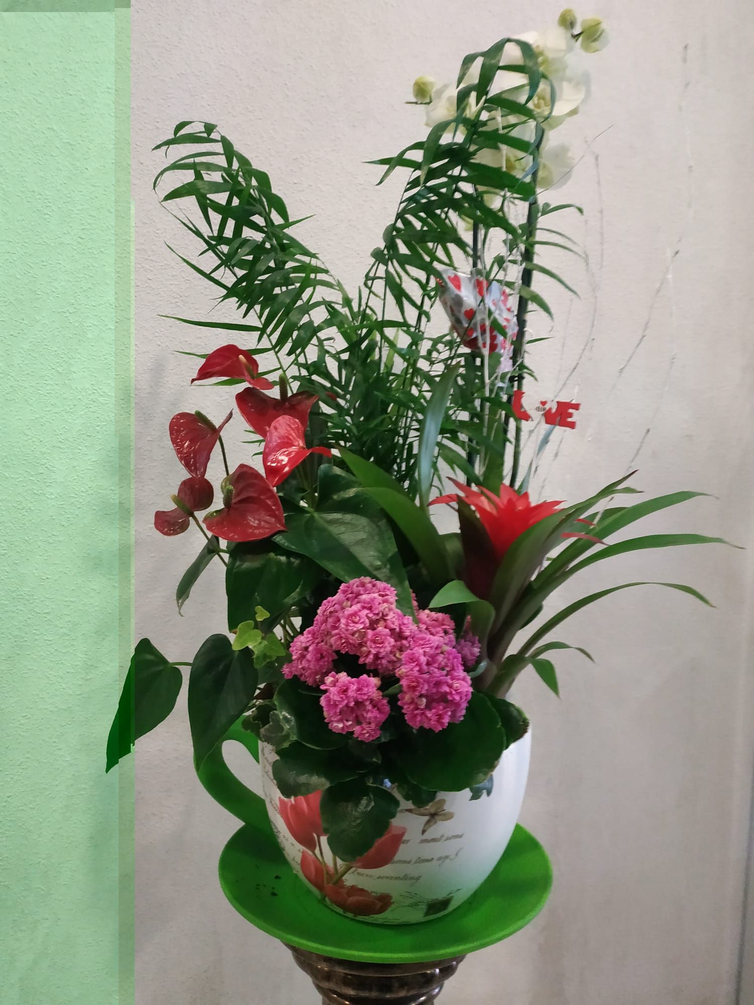 Arreglos de plantas: Productos y servicios de Floristas San Isidro José Arreglos de plantas: Productos y servicios de Floristas San Isidro José
