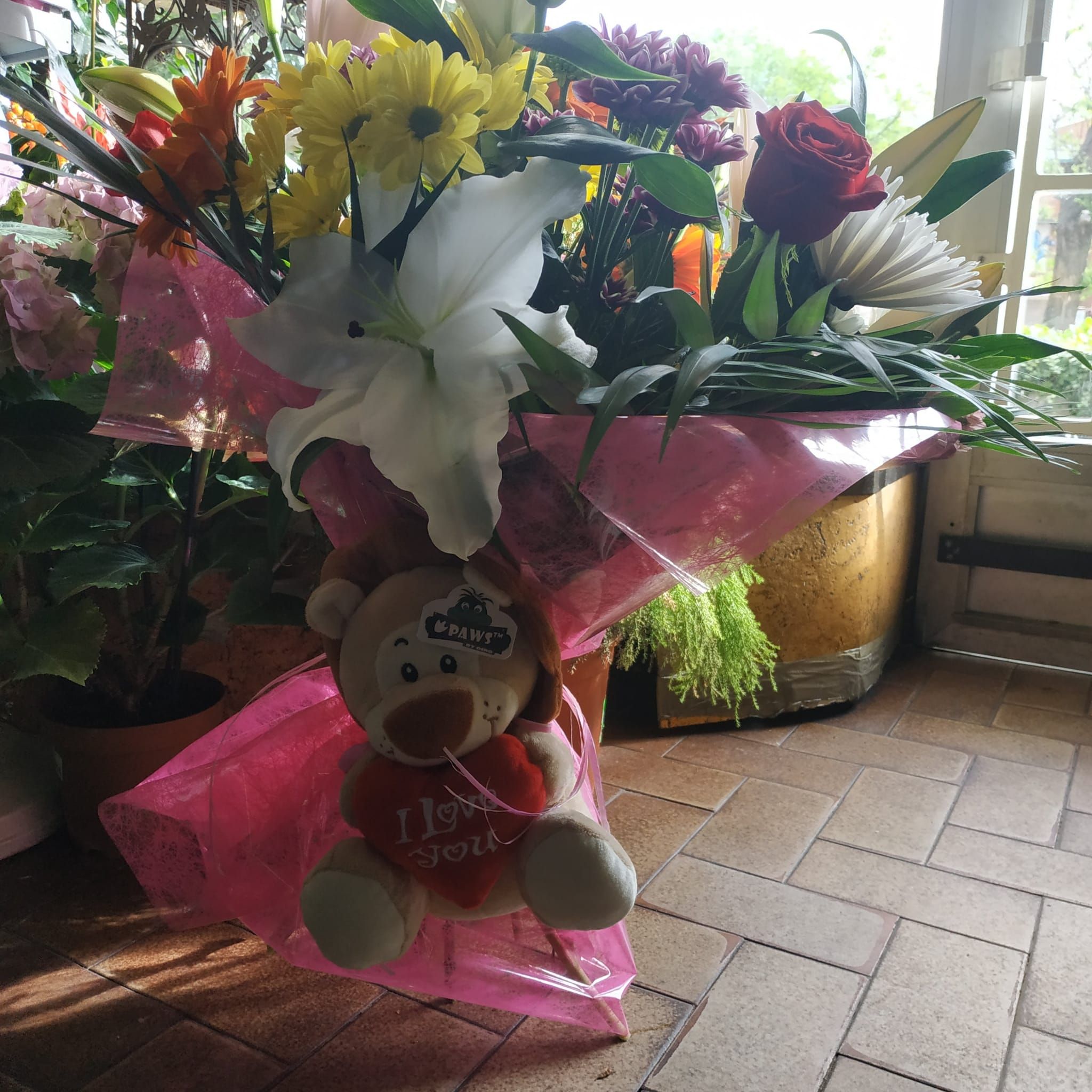 Peluches para acompañar: Productos y servicios de Floristas San Isidro José Peluches para acompañar: Productos y servicios de Floristas San Isidro José