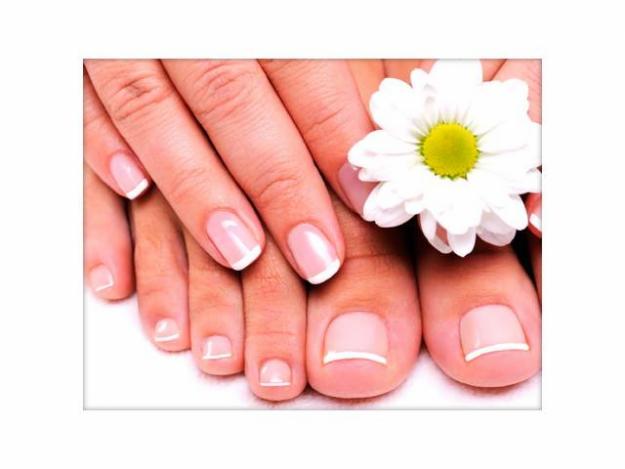 Manicuras Y Pedicuras: Tratamientos de Eterna Belleza Manicuras Y Pedicuras: Tratamientos de Eterna Belleza