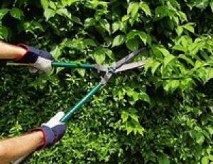 Limpieza de jardines: Servicios de SERVICIOS DE LIMPIEZA Limpieza de jardines: Servicios de SERVICIOS DE LIMPIEZA