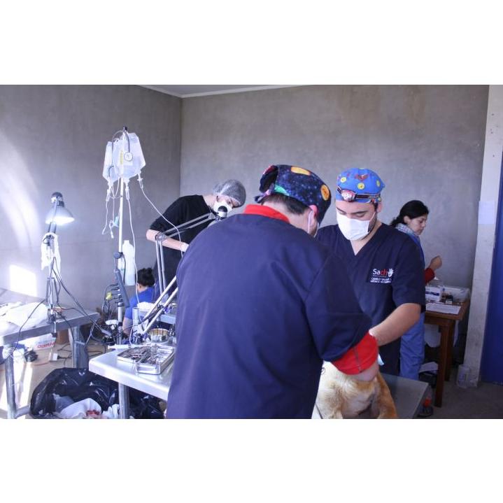 CirugÃ­a : Servicios de Centro Veterinario Ciempozuelos