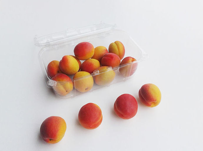 Albaricoque: Nuestra Producción de Fruits Queralt Albaricoque: Nuestra Producción de Fruits Queralt