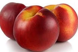 Nectarinas: Nuestra Producción de Fruits Queralt Nectarinas: Nuestra Producción de Fruits Queralt