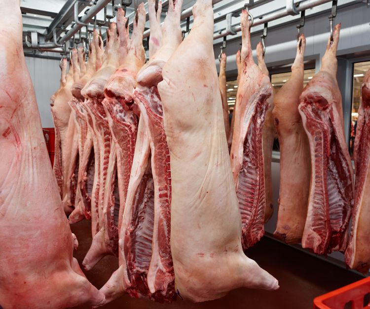 Carne de cerdo en Zamora