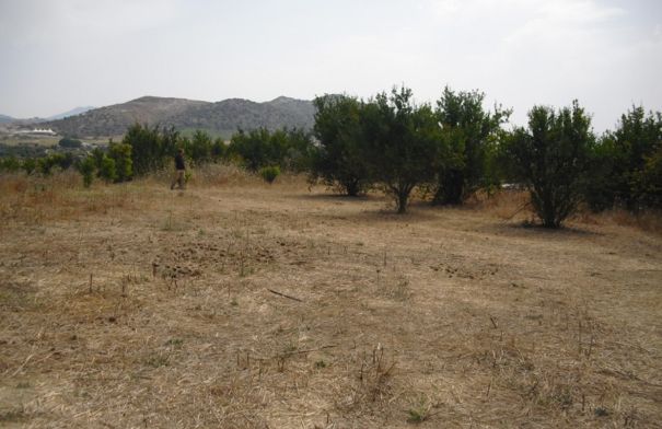 Alhaurín el Grande – Terreno Rustico / Ref.- ID-R2242520: Inmuebles de DreaMarbella Real Estate Alhaurín el Grande – Terreno Rustico / Ref.- ID-R2242520: Inmuebles de DreaMarbella Real Estate
